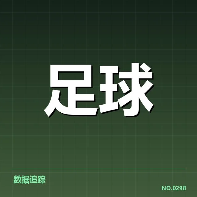 费内巴切相关比赛和裁判判罚的事实确认